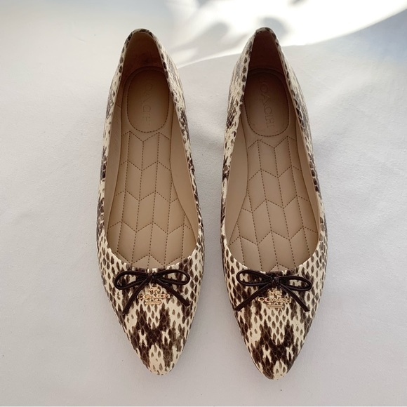 Coach Annabel Snakeskin Ballet Flats - Picture 4 of 11